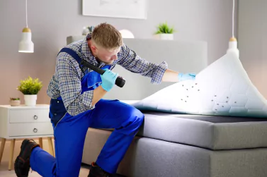 Bedbug Control Kalkallo