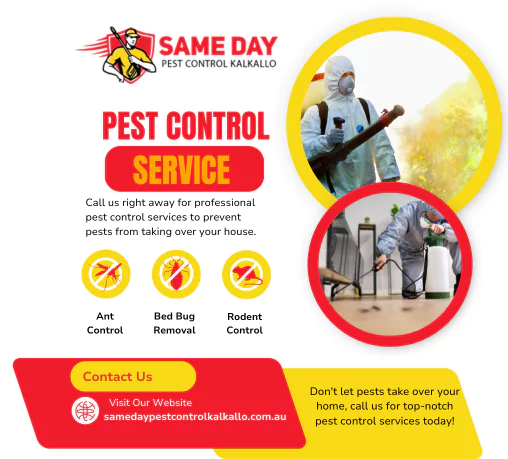 Same Day Pest Control Kalkallo