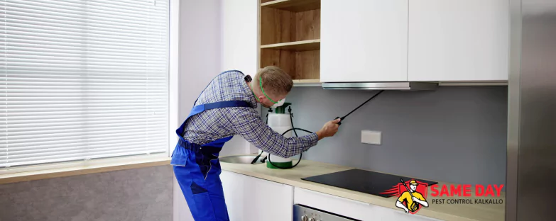 Same Day Pest Control Kalkallo Approach