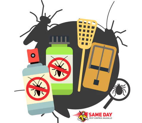 pest control solutions in Kalkallo